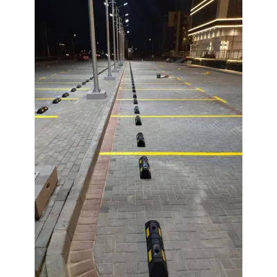 عرض الصورة 2